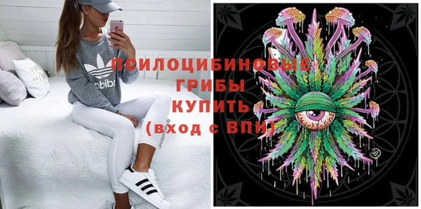 прущие грибы Абдулино