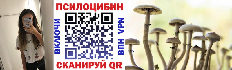 где купить наркоту  Советская Гавань  Галлюциногенные грибы Psilocybine cubensis 